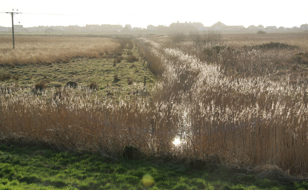 Drain From Borth Bill Boaden Geograph Britain And Ireland