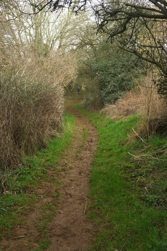 D Arcy Dalton Way Approaching Fanville Derek Harper Geograph