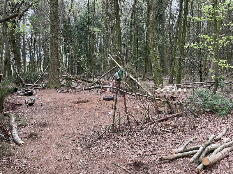 Hanging Out In Peak Copse Fernweh Geograph Britain And Ireland