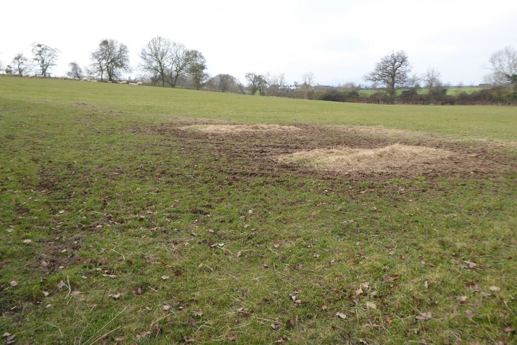 Field Off Holdings Lane Philip Halling Geograph Britain And Ireland