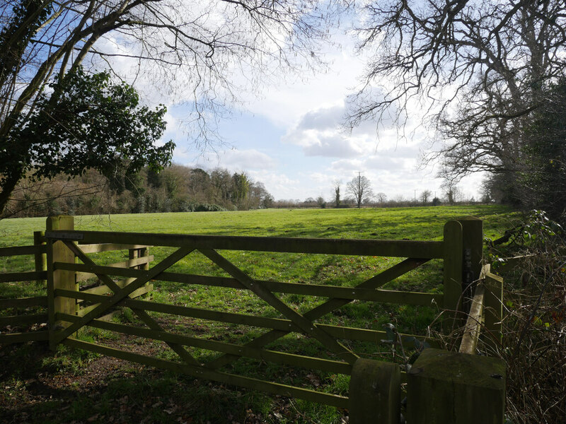 Grass Field David Pashley Geograph Britain And Ireland