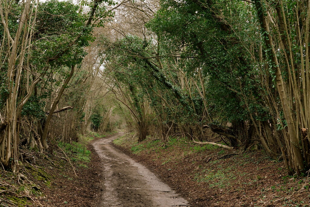 Ebbisham Lane Peter Trimming Geograph Britain And Ireland