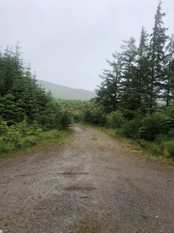 Forestry Road Strathbran Plantation Eirian Evans Geograph Britain