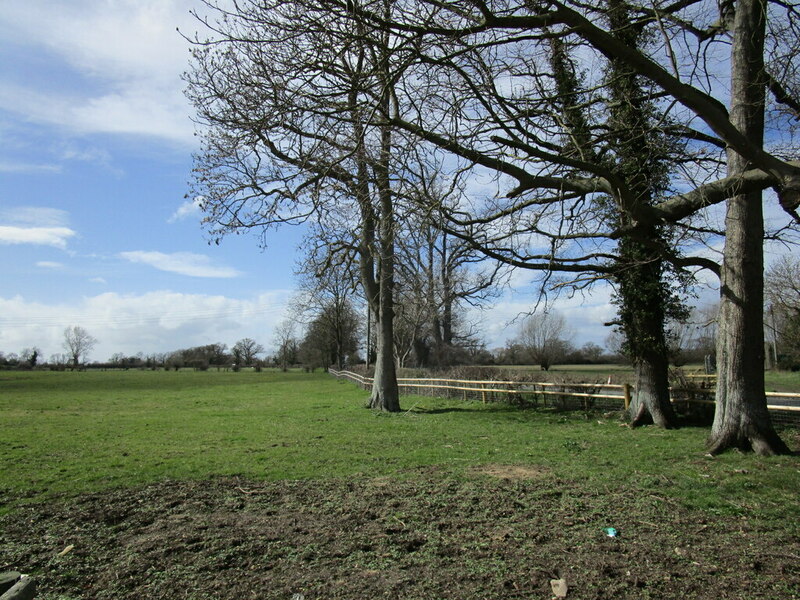 Grass Field With Trees Saintbury Cross Jonathan Thacker Geograph