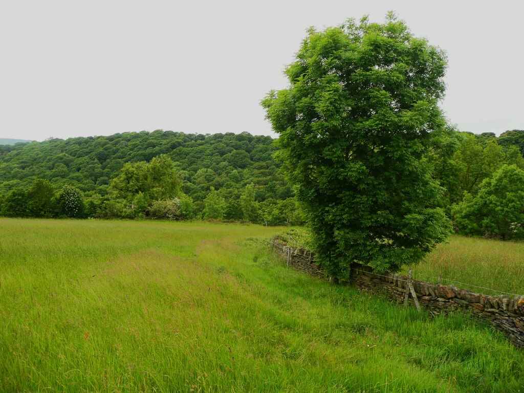 Footpath 19 1 Near Middle Lud Farm Humphrey Bolton Geograph