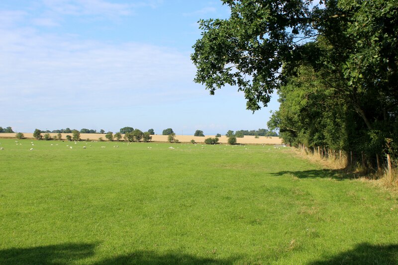 Field Beside Pillrigg Lane Chris Heaton Geograph Britain And Ireland