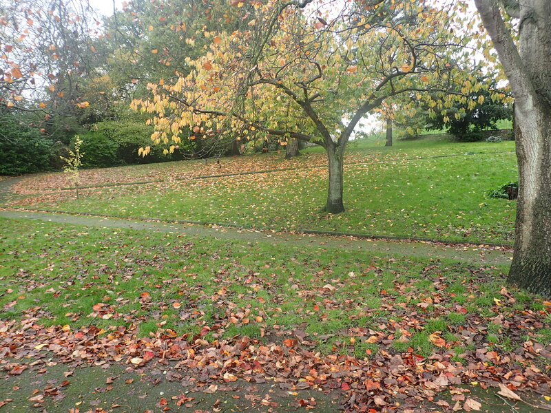 Windmill Hill Gardens Marathon Geograph Britain And Ireland