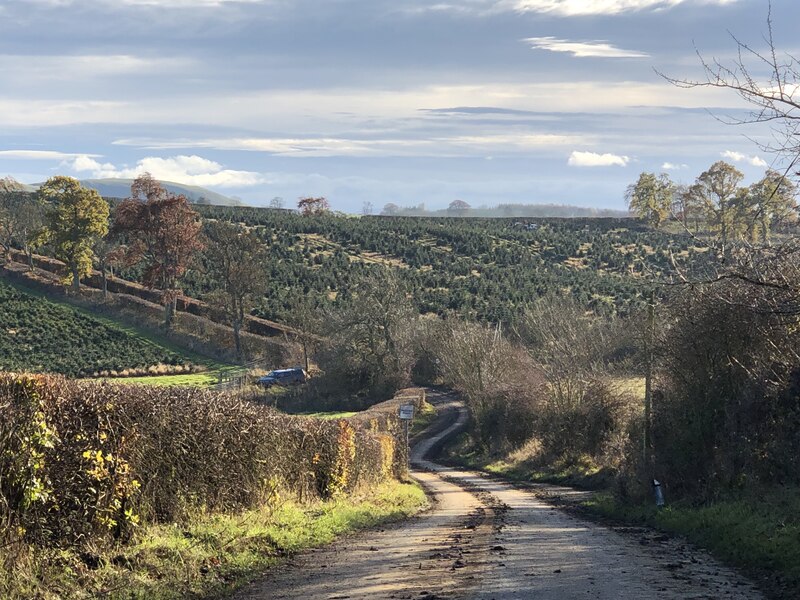 Muddy Road Netherraw Richard Webb Geograph Britain And Ireland