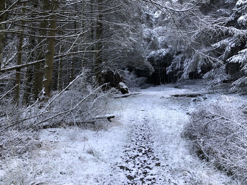 Path Cloich Forest Richard Webb Geograph Britain And Ireland