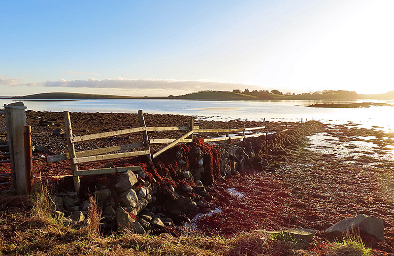 Dyke And Fence Anne Burgess Geograph Britain And Ireland