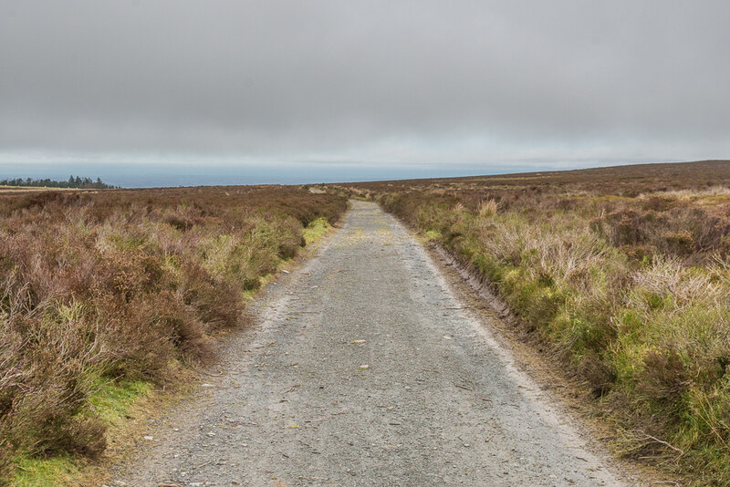 The Port Way Ian Capper Geograph Britain And Ireland