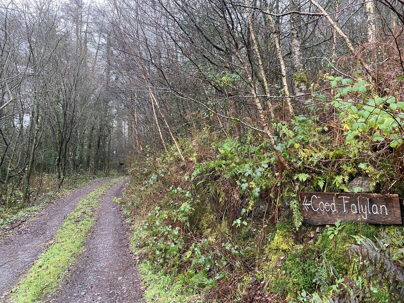 Track Towards Coed Talylan Alan Hughes Geograph Britain And Ireland