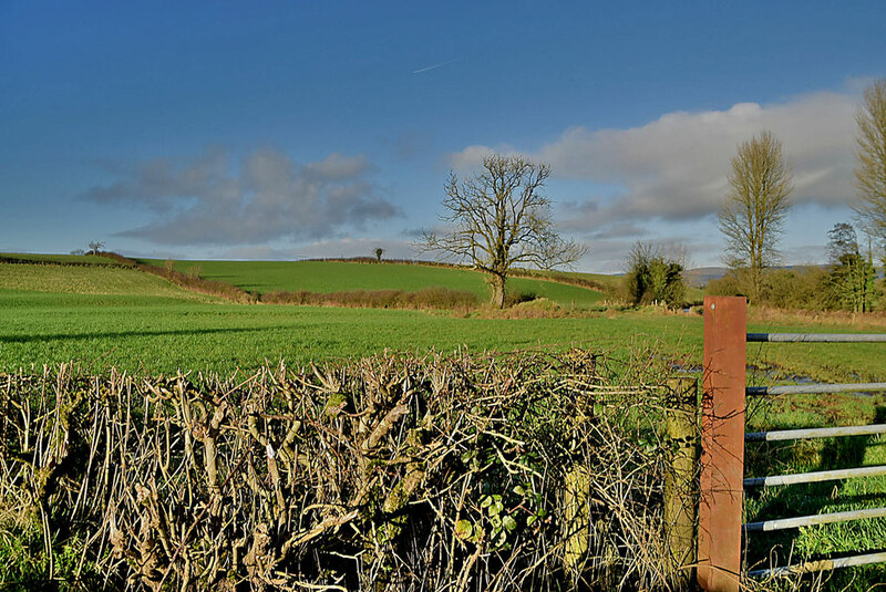 Bare Hedge Aghagallon Kenneth Allen Geograph Ireland