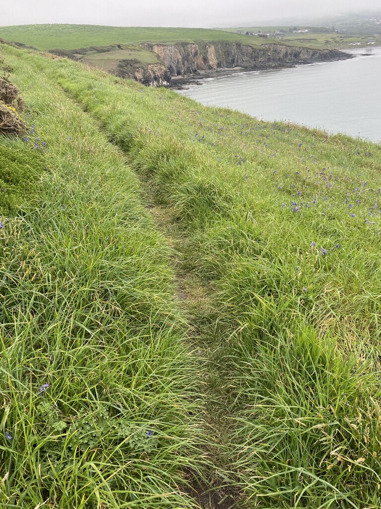 Coastal Path Towards Newport Alan Hughes Geograph Britain And Ireland