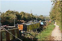 ST8359 : Canal Towpath near Widbrook by Maurice Pullin