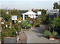 Swanland Nurseries