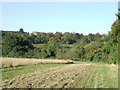 Distant church