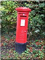 Edward VIII postbox, Littleworth Road / New Road