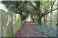 Path at Rear of Seven Acre Close