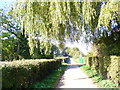 Trackway at Holride Farm