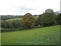 Wooded valley, near Camp Hill