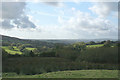 Mary Tavy: Tavy valley near Horndon