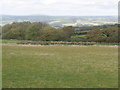 Pasture and woodland at Lowmead Farm