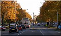 Autumn along Saffron Lane