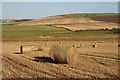 Farmland at East Gordon