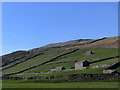 SD9097 : Stone Barn at Muker in Swaledale by I Love Colour