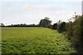 Line of the bridleway to Goadby Marwood and Chadwell