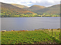 Pasture near Shenlarich