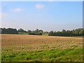 Across the Fields to Sullington Rectory