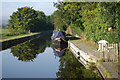 Montgomery Canal, Maesbury Marsh