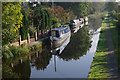 Montgomery Canal, Maesbury Marsh