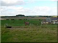 Looking north from the old A303, Racedown near Quarley