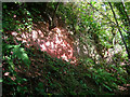 Sand Strata in the Unnamed Wood near Chantry Mill