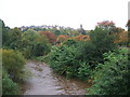 River Kelvin