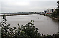 Runcorn reach