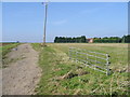 Farm road to Flete Farm