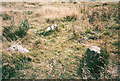 NO2351 : Tiny Stone Circle nr Shealwalls Farm by Michael Murray
