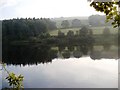 Damflask Reservoir