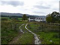 Looking down on Woodside of Tulliemet