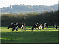 Dundry, from Long Ashton