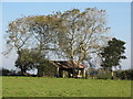 Disused Barn