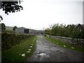 Road in to Laidlawstiel Farm.