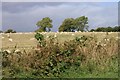 Fields east of Balbeggie