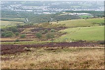 SO0105 : South-western slope of Mynydd Aberdare by Graham Horn