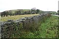 Road to Mynydd Cilfach-yr-encil