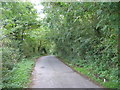 The Lon Allt Goch Bach road to Beaumaris